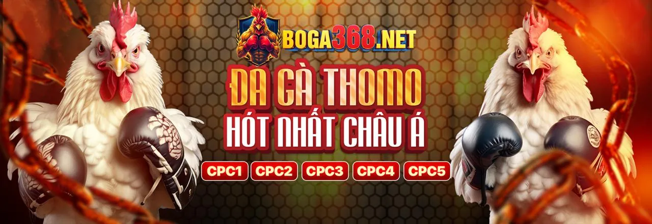 Các biểu tượng bảo mật kỹ thuật số thể hiện sự an toàn của tài khoản CM888